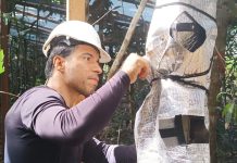 Pesquisador de NX publica novo estudo em revista científica mundial, agora sobre os jatobás