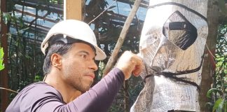 Pesquisador de NX publica novo estudo em revista científica mundial, agora sobre os jatobás