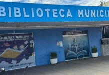 CULTURA: NX é premiada pela implantação do Plano Municipal de Literatura e Biblioteca; veja