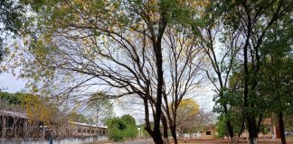 BEM VINDO: É setembro, mês da primavera, das flores, dos frutos e da esperança renovada!