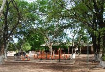 Ação entre Amigos fará realizar o Dia da Criança neste domingo, 11, na Associação Estilac Leal